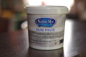 Satin Ice Gum Paste