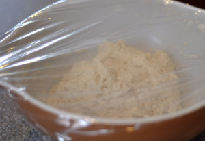 bun-dough-ready-to-rise